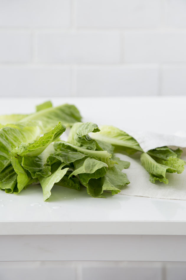 lettuce-72